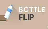 Bottle Flip img