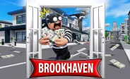 Brookhaven img
