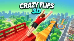 Crazy Flips 3D