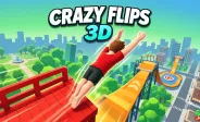 Crazy Flips 3D img
