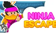 Ninja Escape img