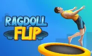 Ragdoll Flip img