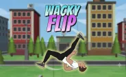 Wacky Flip img